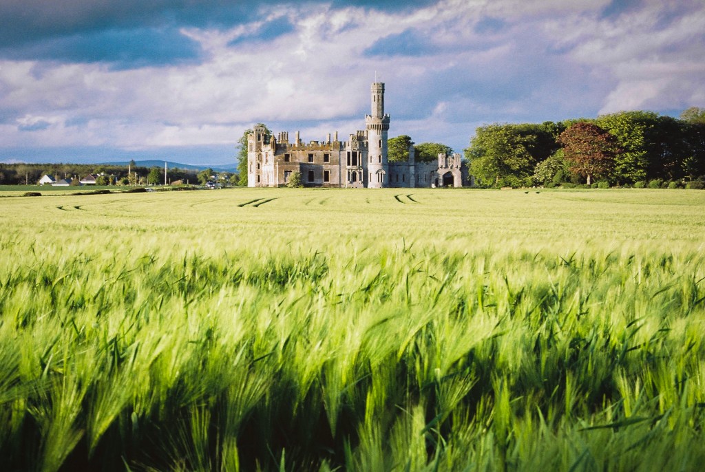 Film scan editing – Analogue meets&nbsp;Digital