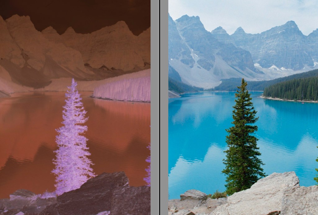 DSLR Scanning your 35mm film&nbsp;negatives